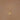 #colour_gold