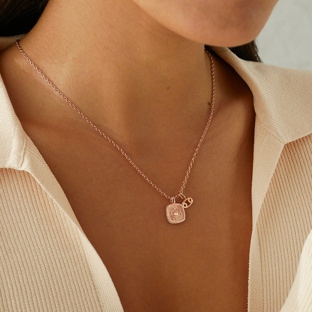 Zodiac Charms