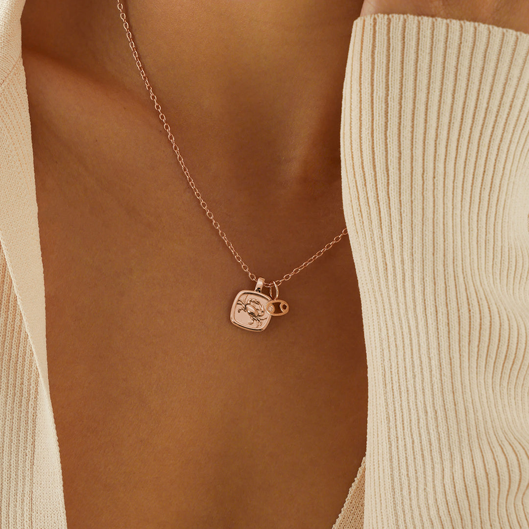 Zodiac Charms