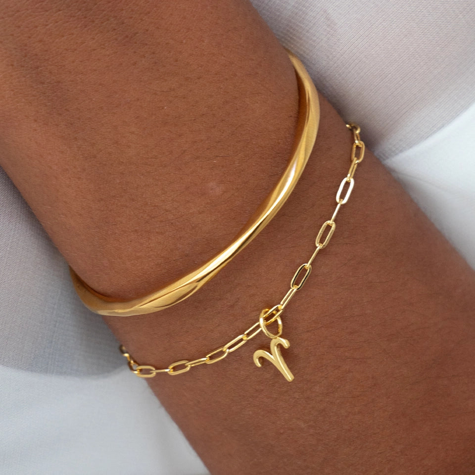 Aries Charm-thumbmail-4