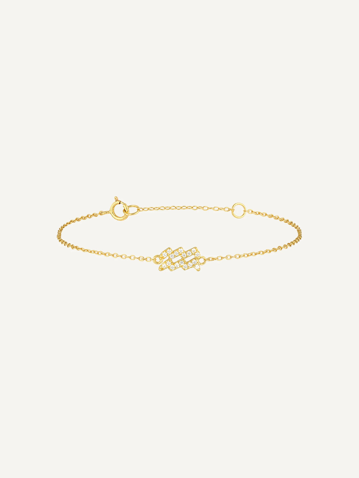 Aquarius Charm Bracelet