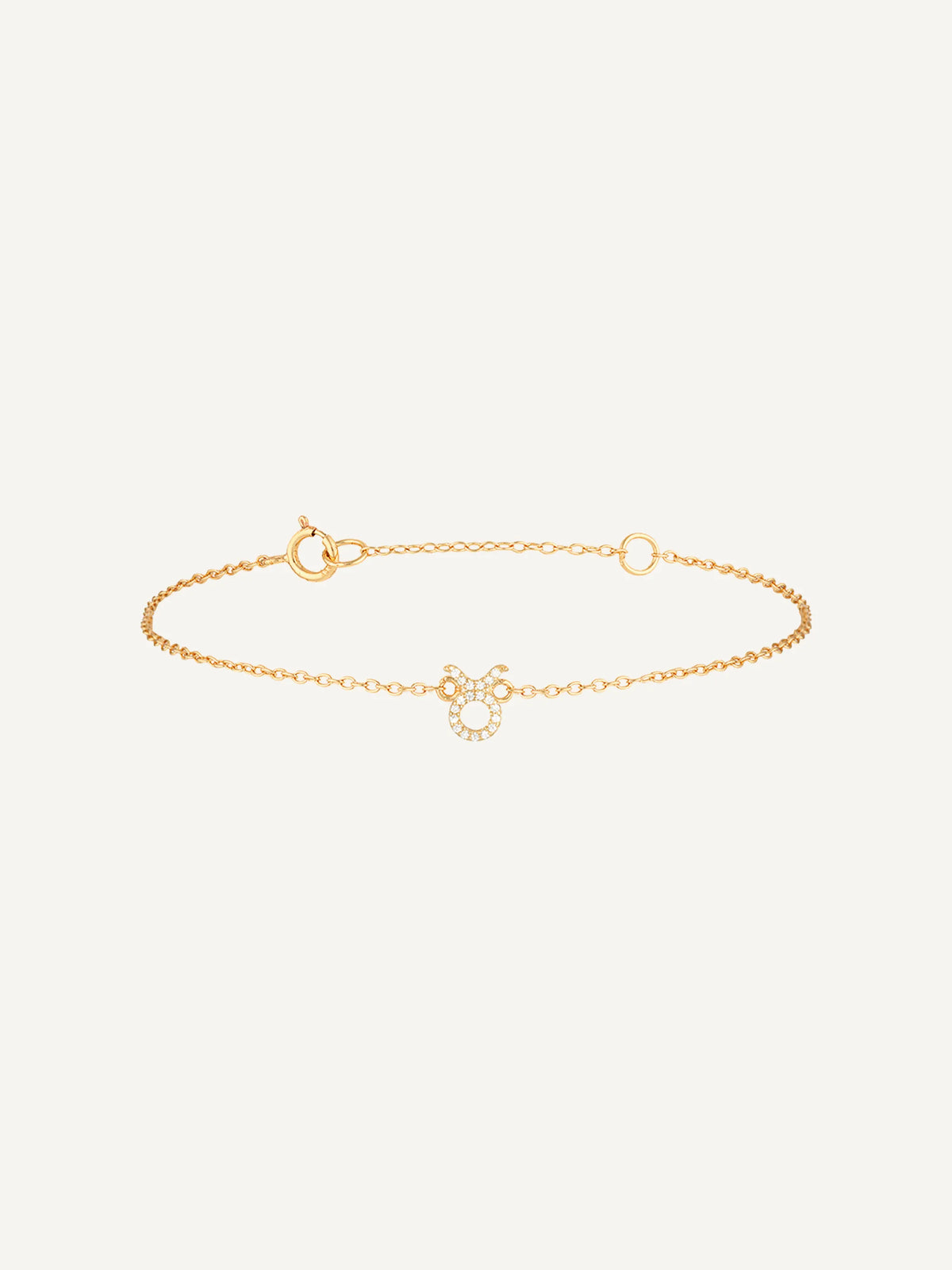 Taurus Charm Bracelet