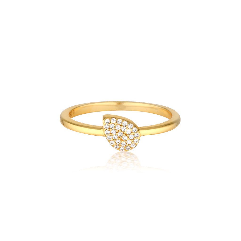 Linda Ring-zoom-1