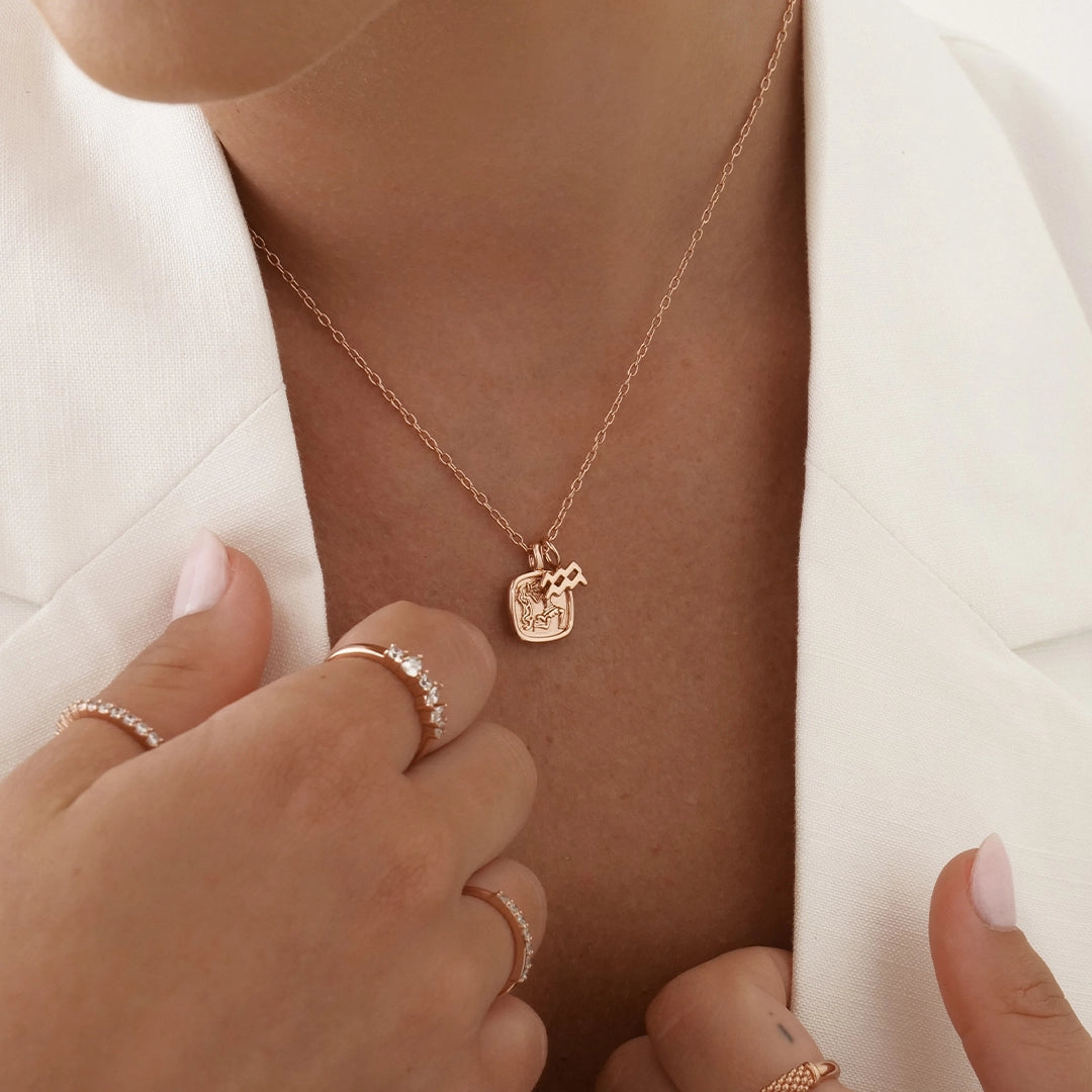 Zodiac Charms