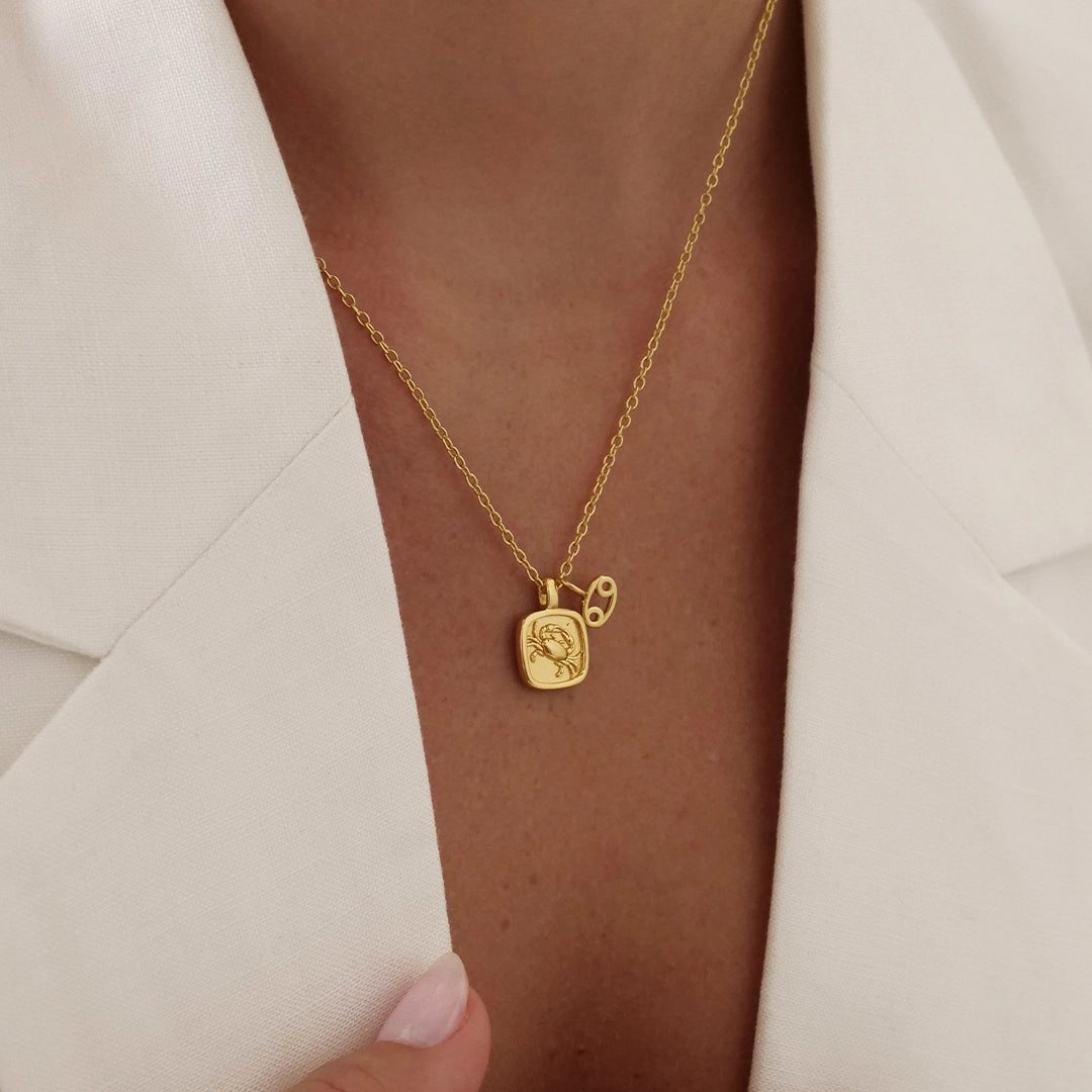Zodiac Charms