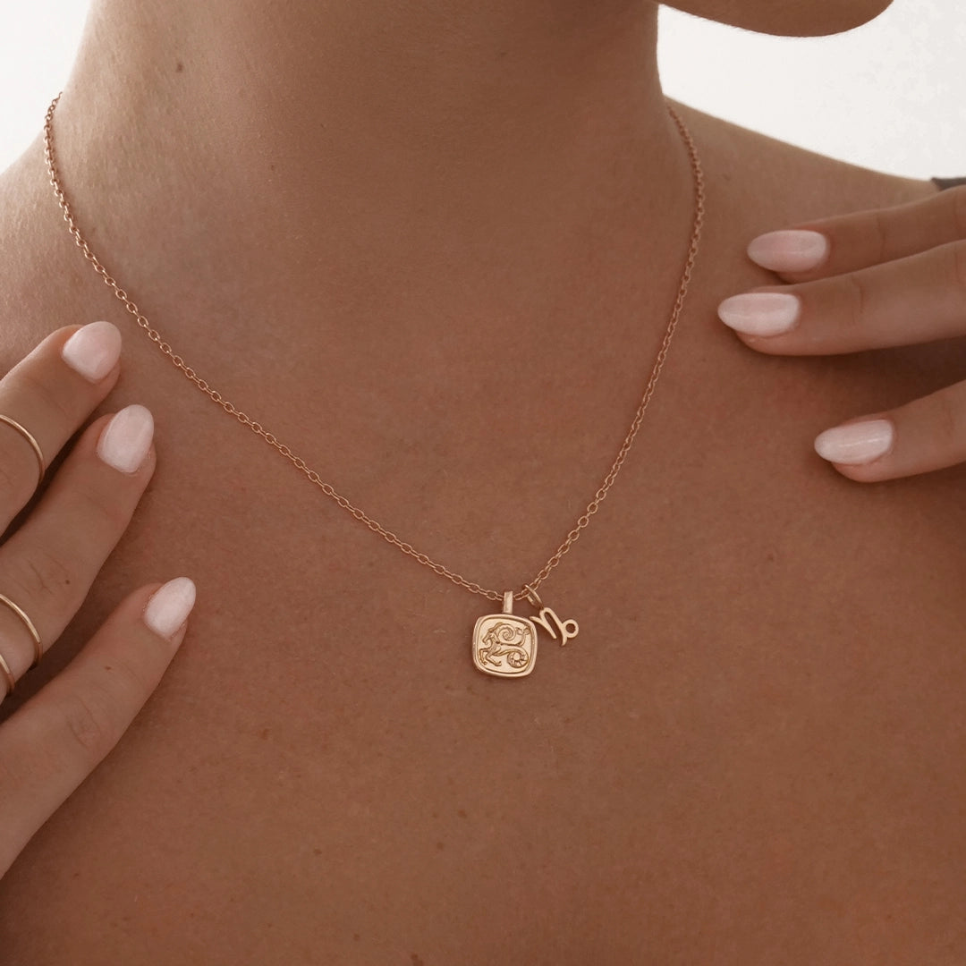 Zodiac Charms