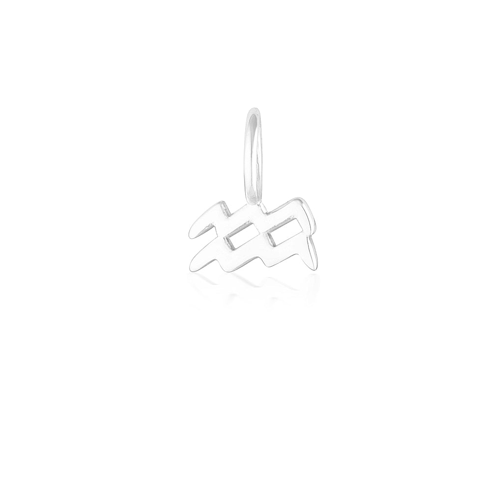Aquarius Charm-thumbmail-1
