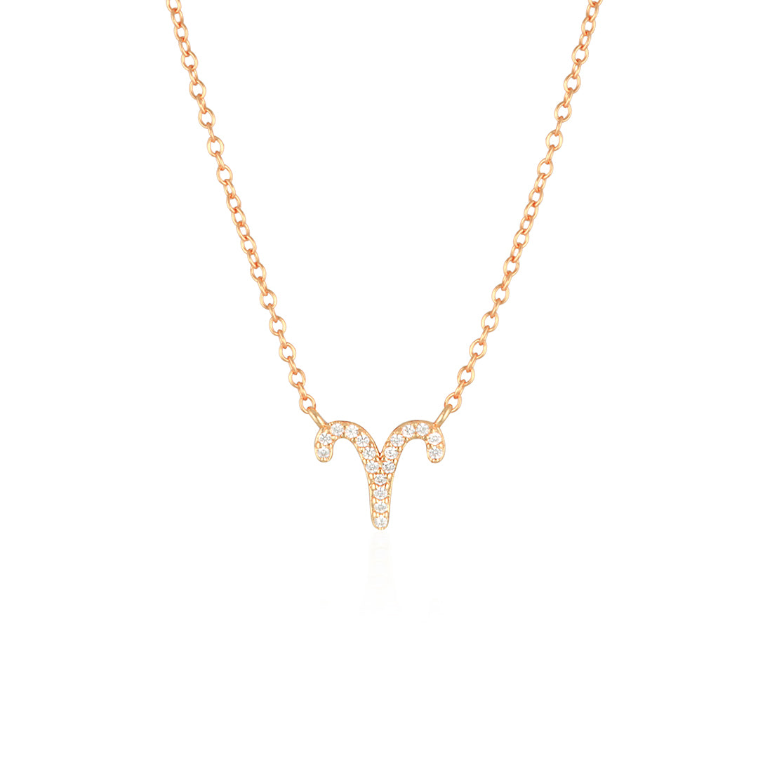 Aries Charm Necklace-zoom-12