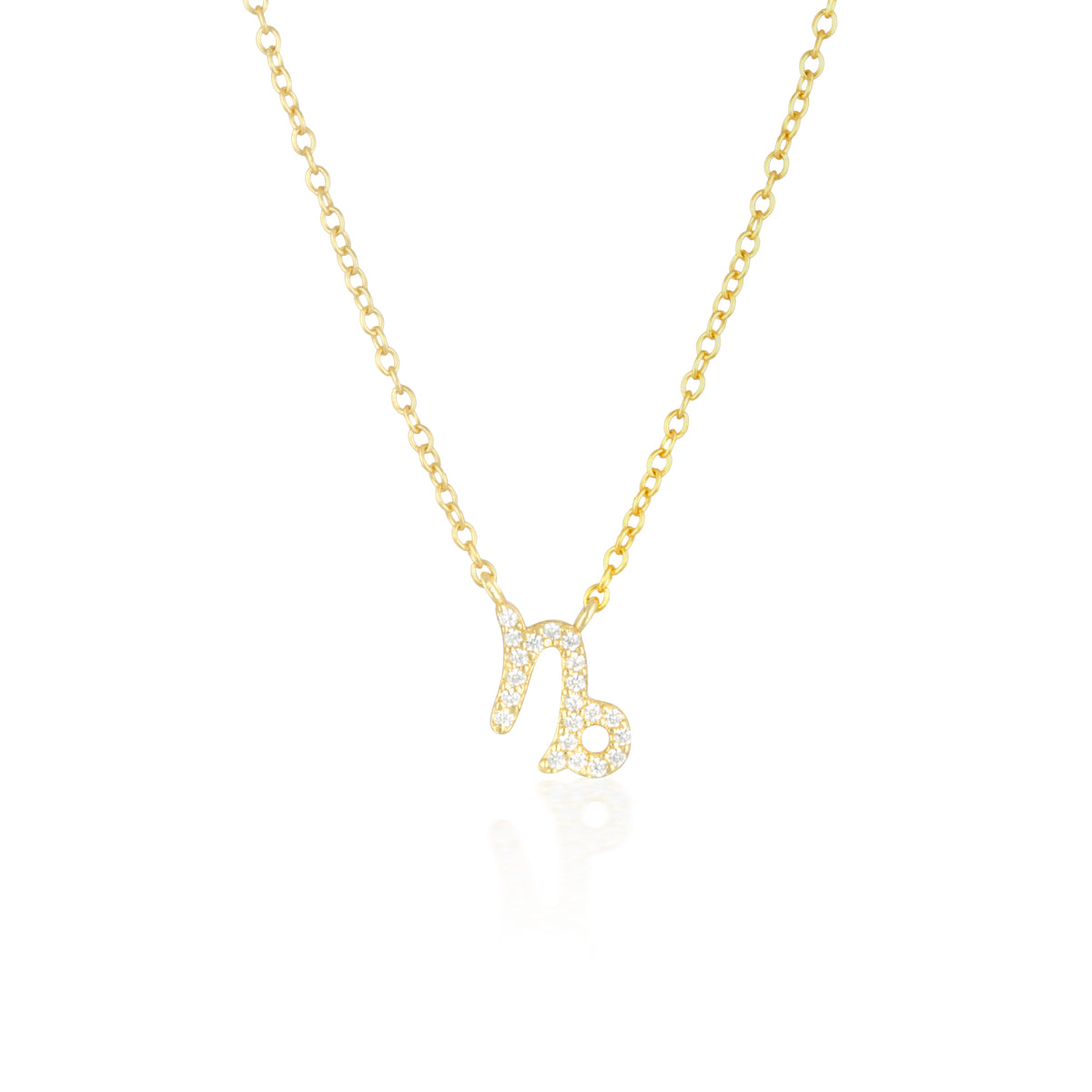Capricorn Charm Necklace