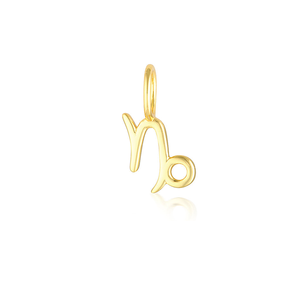 Capricorn Charm-zoom-5