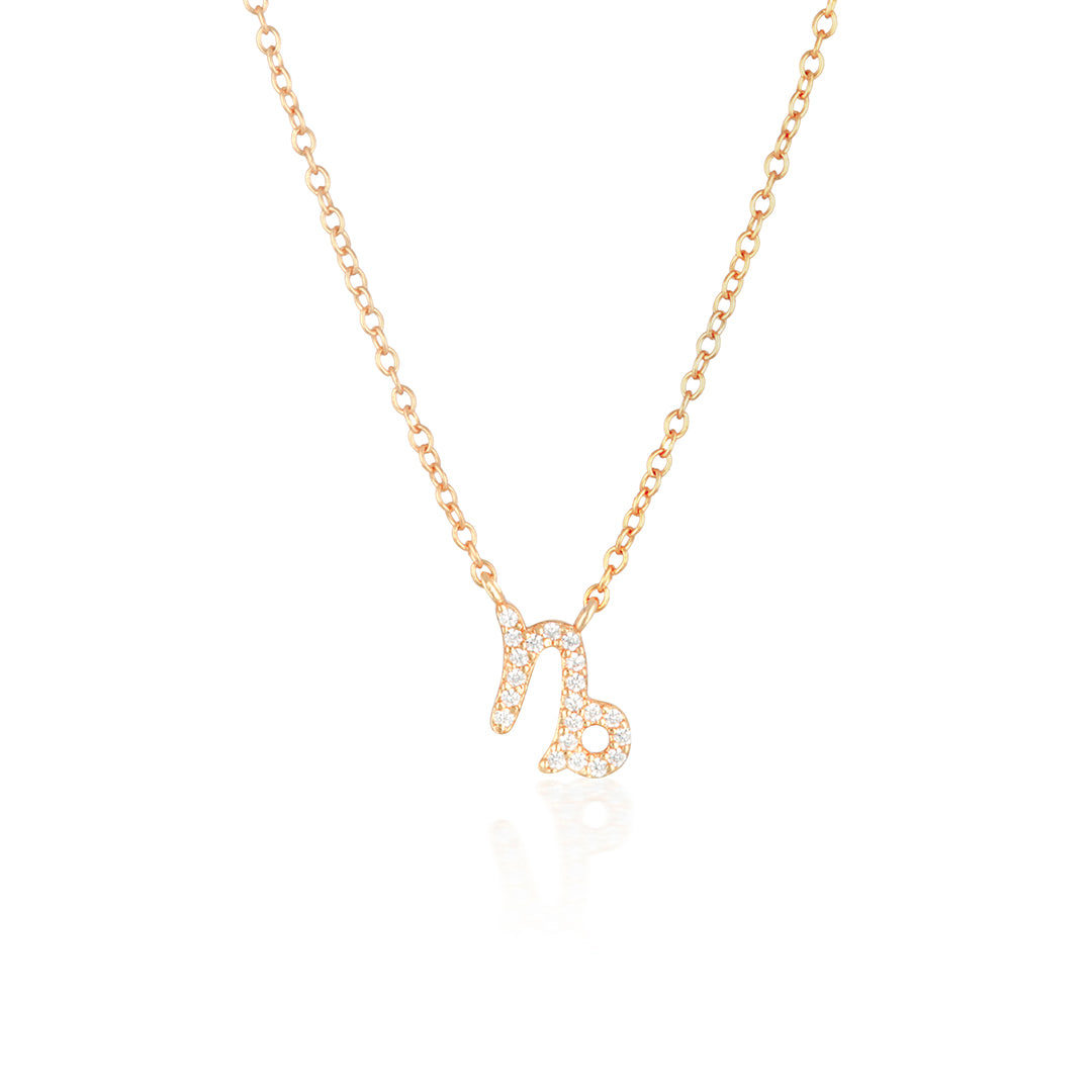 Capricorn Charm Necklace