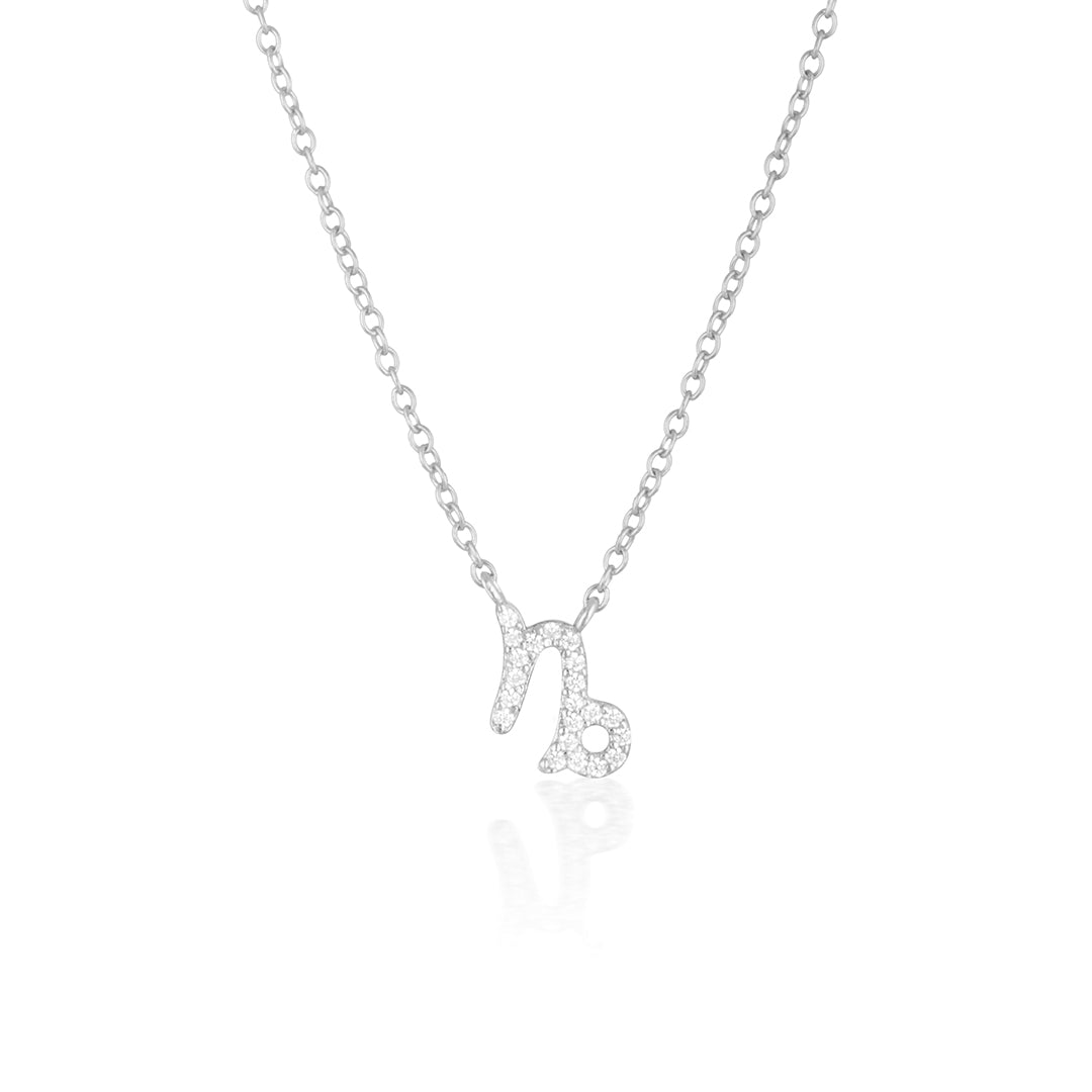 Capricorn Charm Necklace