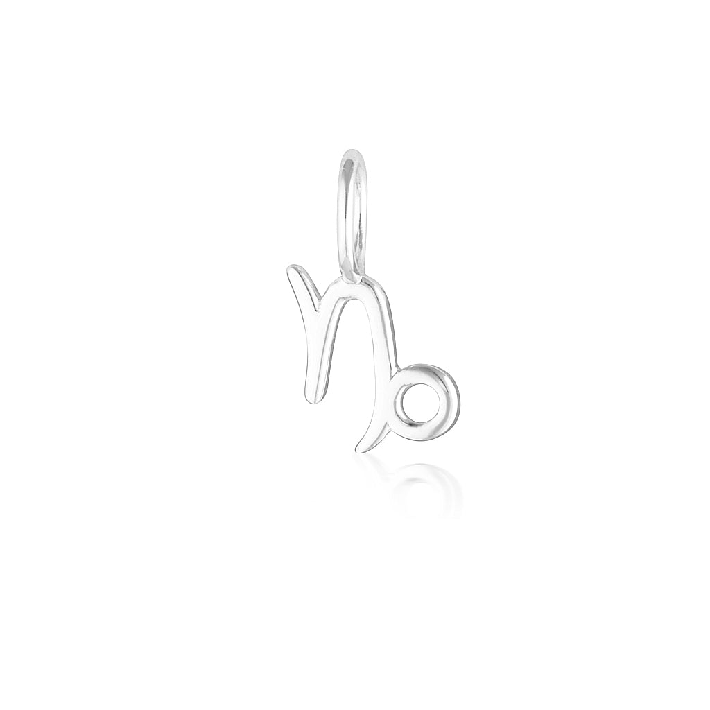 Capricorn Charm-thumbmail-1