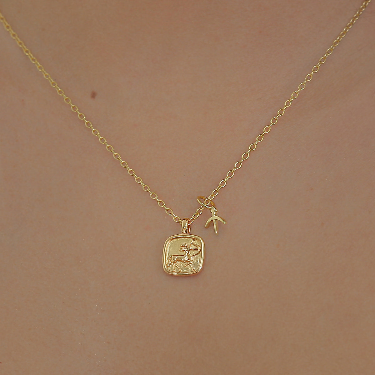Zodiac Charms