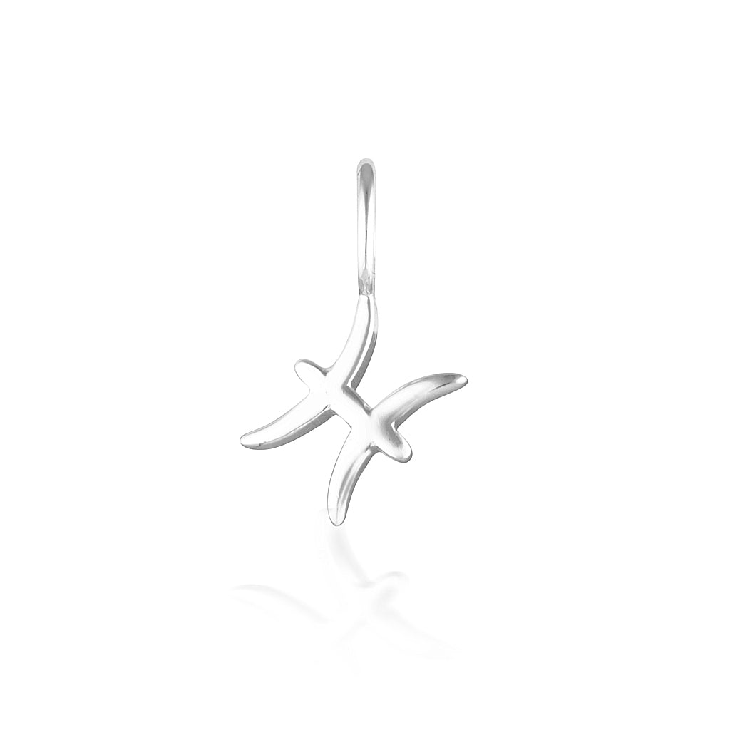 Pisces Charm-thumbmail-1