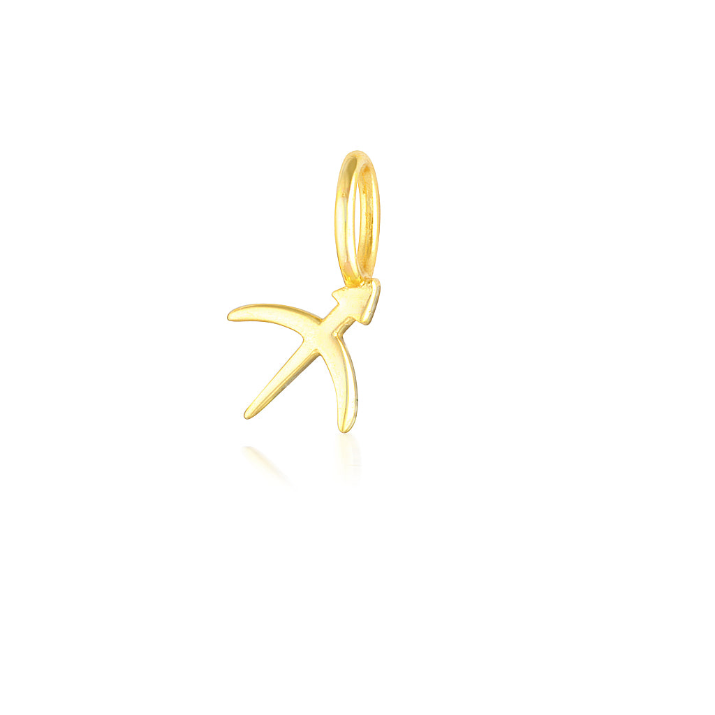 Sagittarius Charm-zoom-1