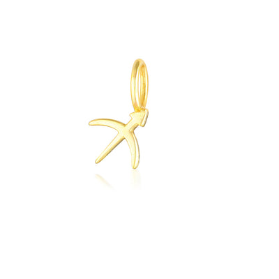 Zodiac Charms