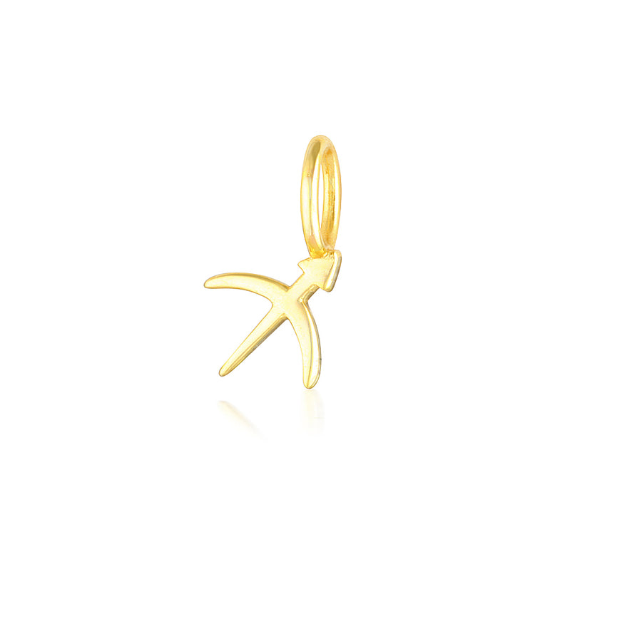 Zodiac Charms