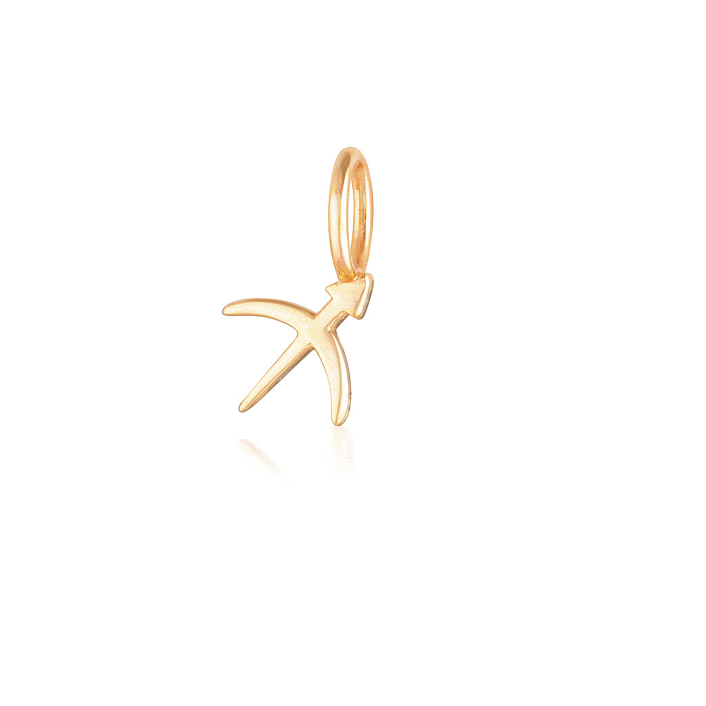 Sagittarius Charm-zoom-7
