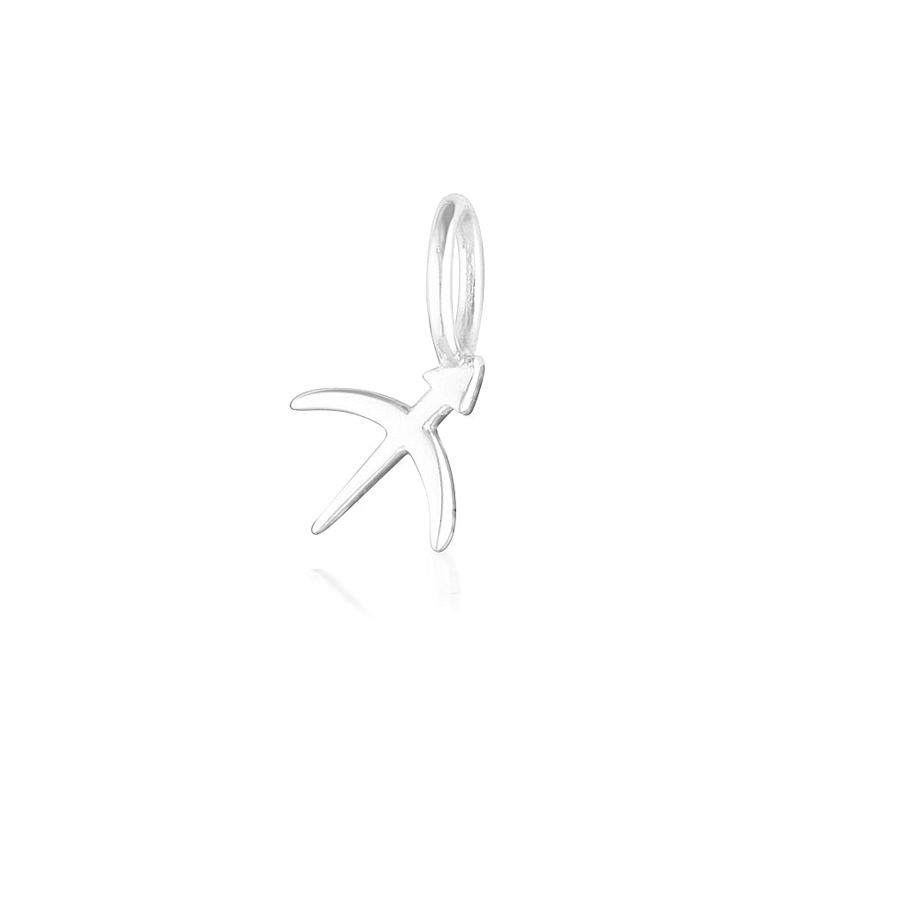 Sagittarius Charm-thumbmail-2