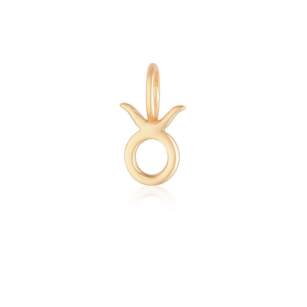 Taurus Charm-zoom-6